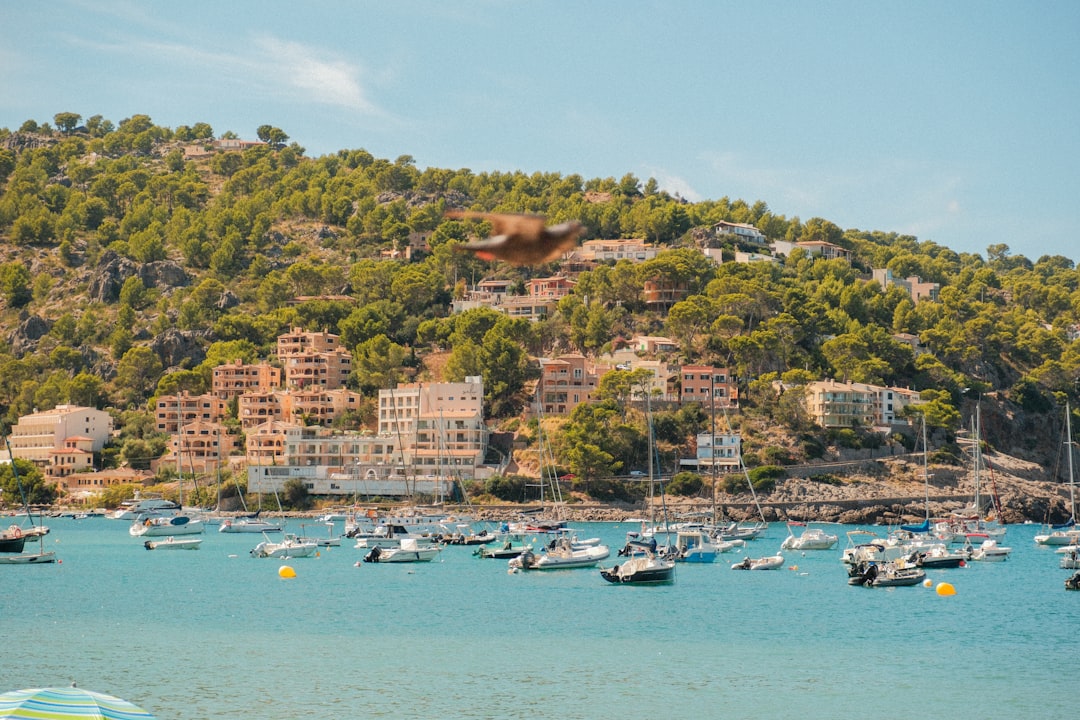 Boats anchored in a bay with a hillside town.