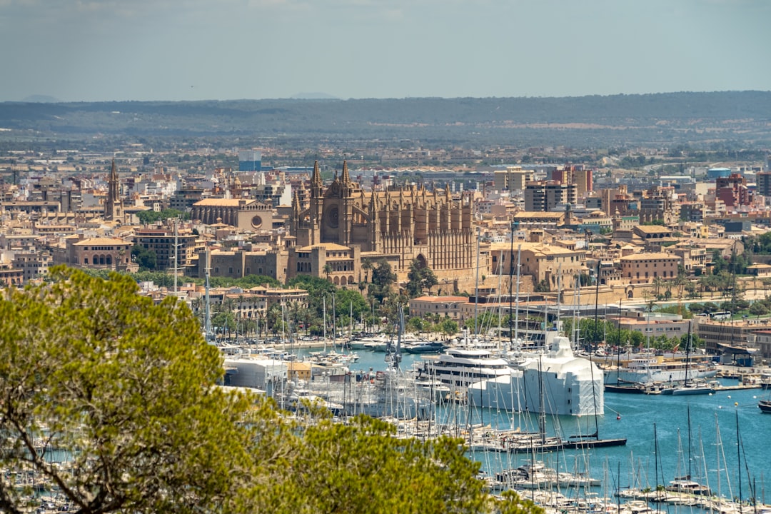 A view of a city with boats in the water