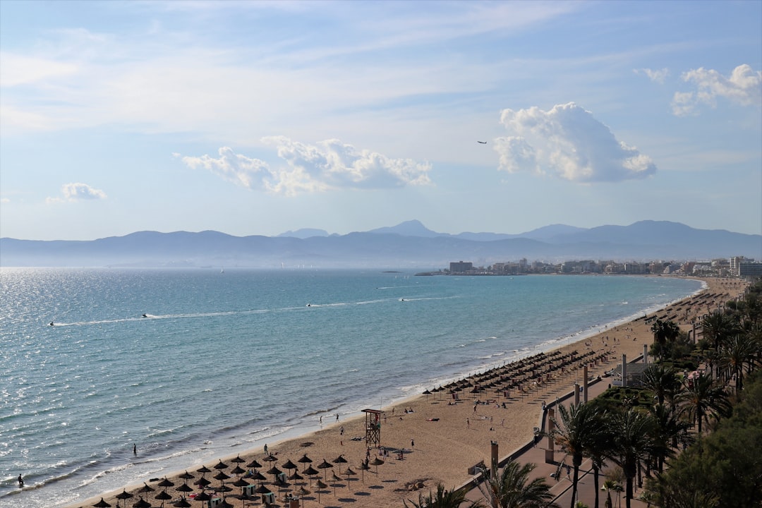 a beach with a body of water
